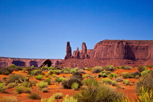 The Three Sisters, Monument Valley National Park, Arizona the Three Sisters, a caracteristic rock formation in the Monument Valley National Park hystoric stock pictures, royalty-free photos & images