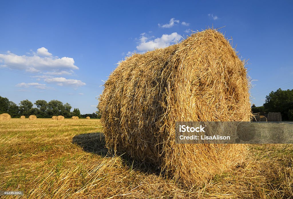 Bales of hay ich - Lizenzfrei Agrarbetrieb Stock-Foto