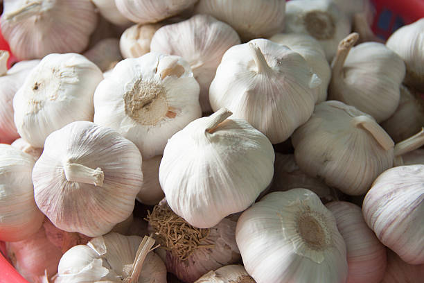 Molti comoda capi di bianco, viola e aglio. - foto stock