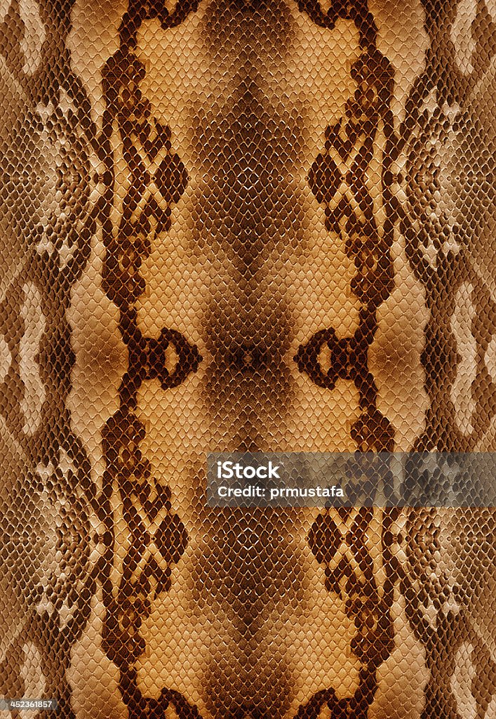 Snakeskin Leather Abstract Stock Photo