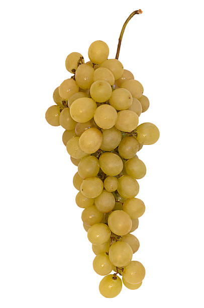 istock bunch of green grapes 452363299