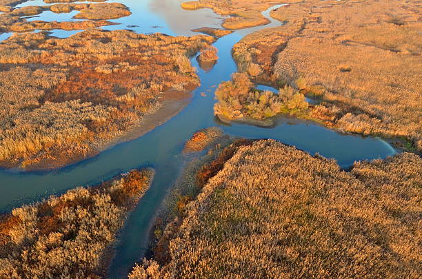 istock aerial view of wetland 452364237