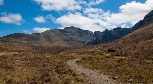 localização em glen frágil, ilha de skye, escócia (reino unido) - extreme terrain footpath british culture green imagens e fotografias de stock