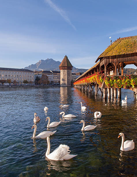 istock Lucerne, Switzerland, early morning 452366933