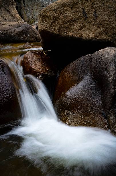 górski potok, st. vrain canyon, w colorado - st vrain zdjęcia i obrazy z banku zdjęć