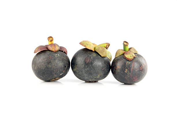 istock The Mangosteen on white Background. 452376653