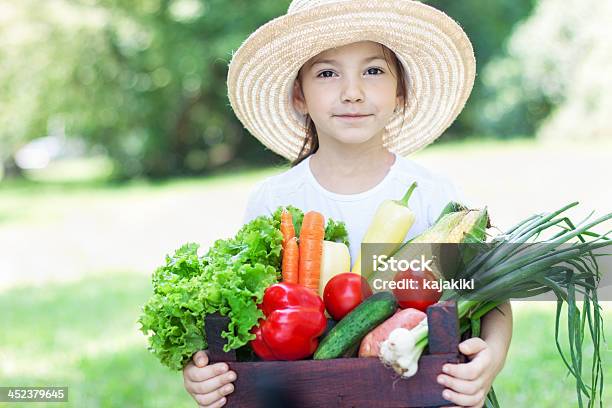 Verão Colheita De Novos Produtos Hortícolas - Fotografias de stock e mais imagens de Legumes - Legumes, 4-5 Anos, Cesto