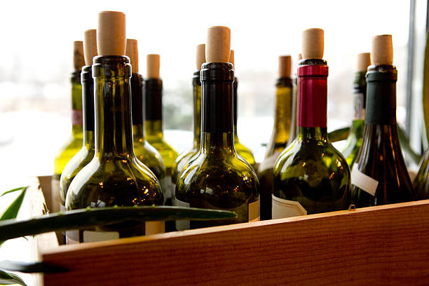 Wine bottles stock photo