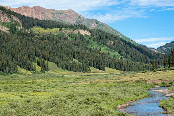 istock Scenic camping area in the Crested Butte outback. 452380789