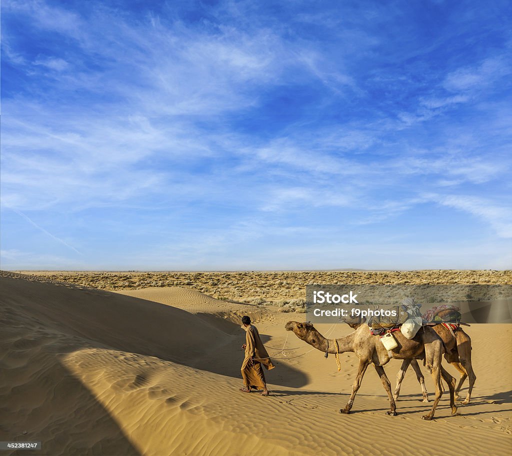 Cameleer (camel driver) mit Kamelen in Dünen der Wüste Thar - Lizenzfrei Abenteuer Stock-Foto