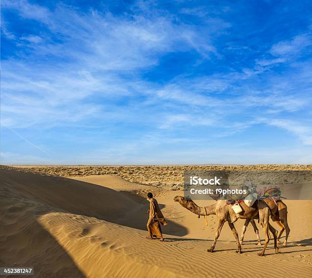 Cameleer Com Camelos Em Dunas Do Deserto De Thar - Fotografias de stock e mais imagens de Adulto
