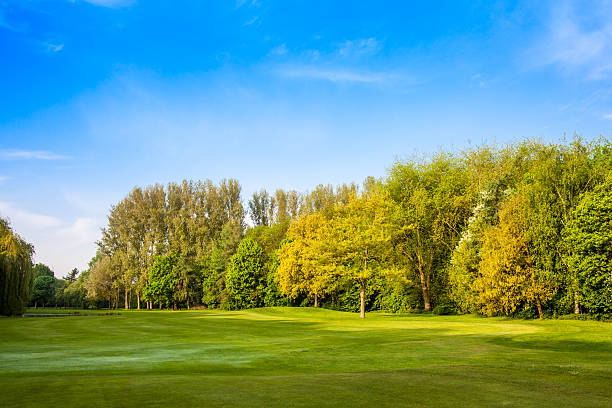 istock Summer landscape with green gras 452381325