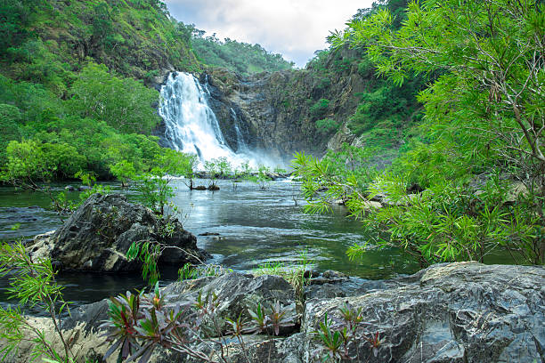 Large waterfall during wet season Shot  at slow shutter speed during wet season just before a thunderstorm in Daintree rainforest in Australia queensland floods stock pictures, royalty-free photos & images