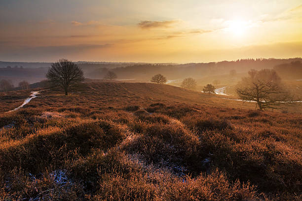 istock Posbank winter colors 452387909