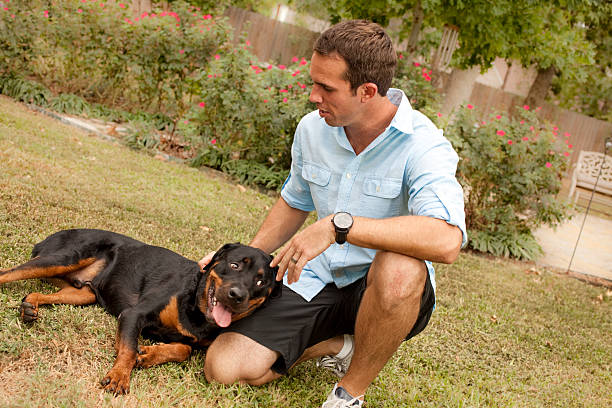 istock Pets:  Young man with his pet dog. 452388933
