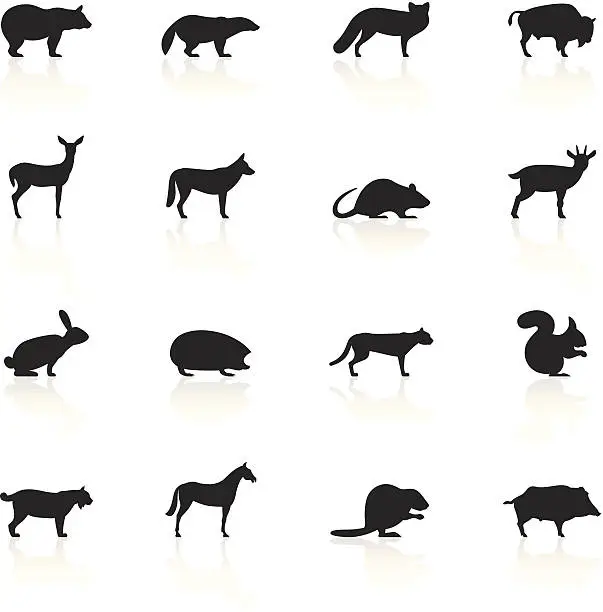 Vector illustration of Black Symbols - Wild Animals