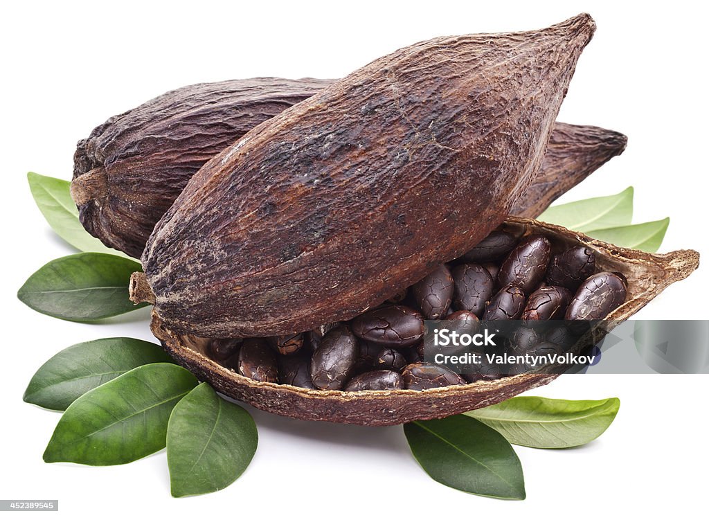 Cocoa pod. Cocoa pod on a white background. Hot Chocolate Stock Photo