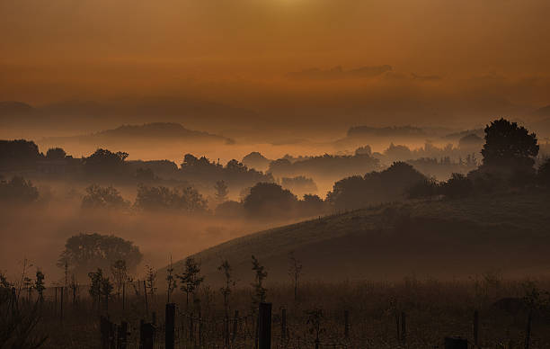 istock Morning misty montain 452389823