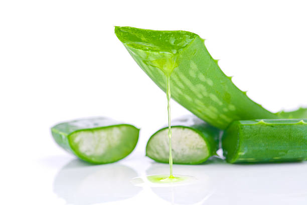 istock Sliced aloe plant leaves 452394289