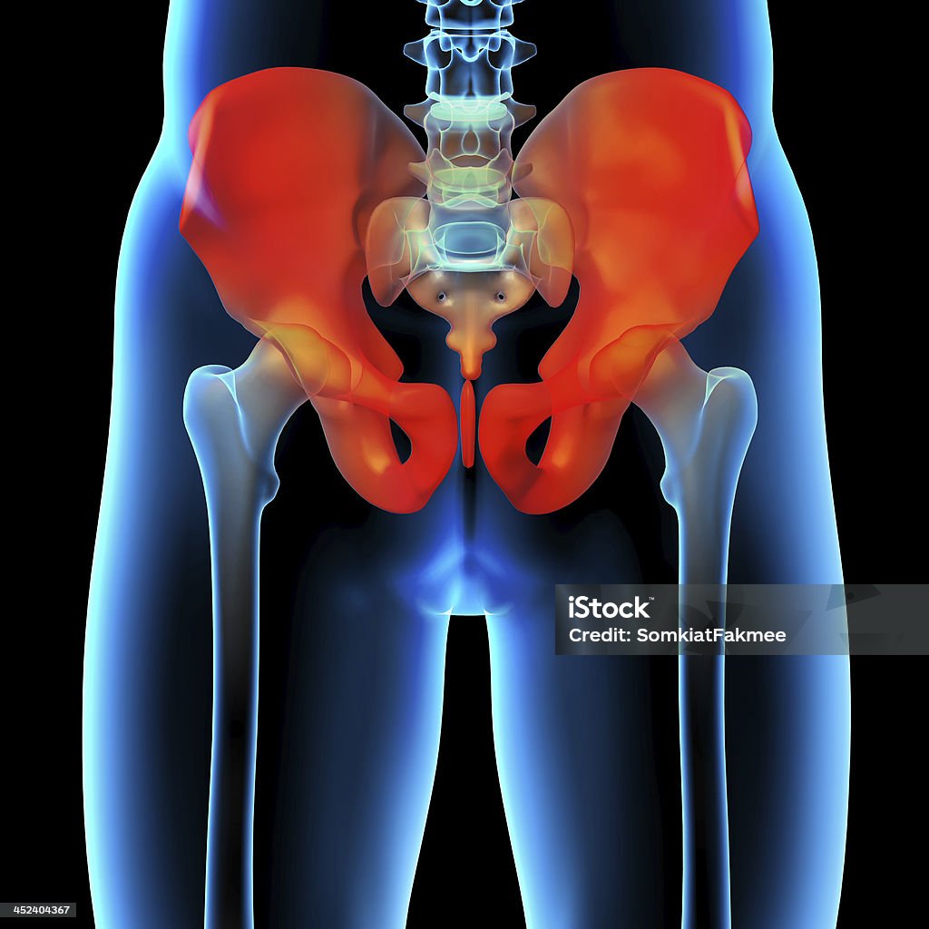 동통성 엉치뼈 - 로열티 프리 골반 스톡 사진
