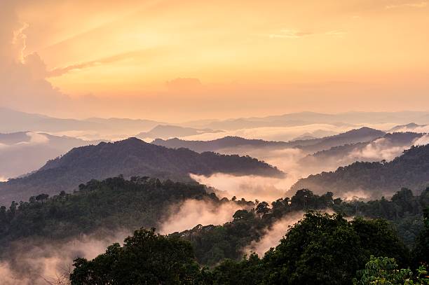 istock Beautiful floating fog landscape. 452405701