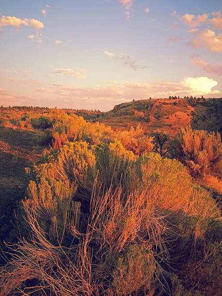 istock Oregon desert landscape lit by the Sun 452417637