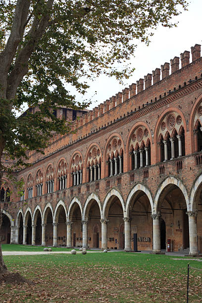 istock The Castle of Pavia 452421487