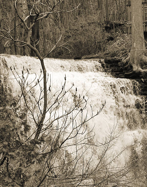 waterfall in sephia stock photo