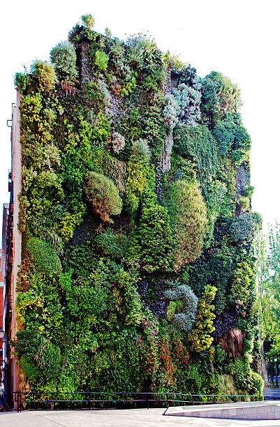 jardin en position verticale. - vertical garden photos et images de collection