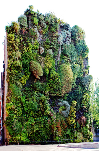 This vertical garden is located in central Madrid and was designed by Swiss artist Patrick Blanc in 2006. There are 15,000 plants from more than 250 different species. This garden represents a very unusual encounter between the rough of modern buildings and nature.