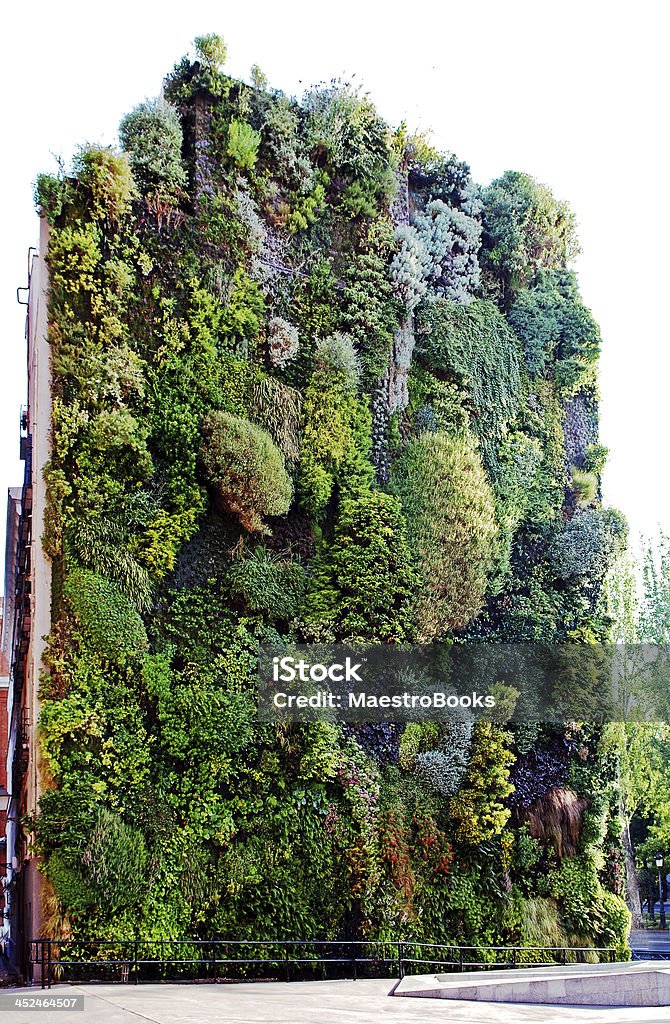 Garden in vertical position. This vertical garden is located in central Madrid and was designed by Swiss artist Patrick Blanc in 2006. There are 15,000 plants from more than 250 different species. This garden represents a very unusual encounter between the rough of modern buildings and nature. Vertical Stock Photo