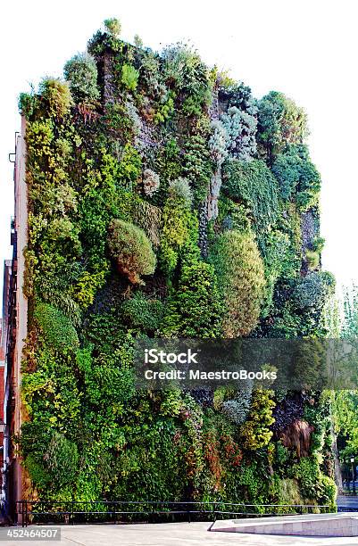 Garden In Vertical Position Stock Photo - Download Image Now - Vertical, Green Color, Environmental Conservation