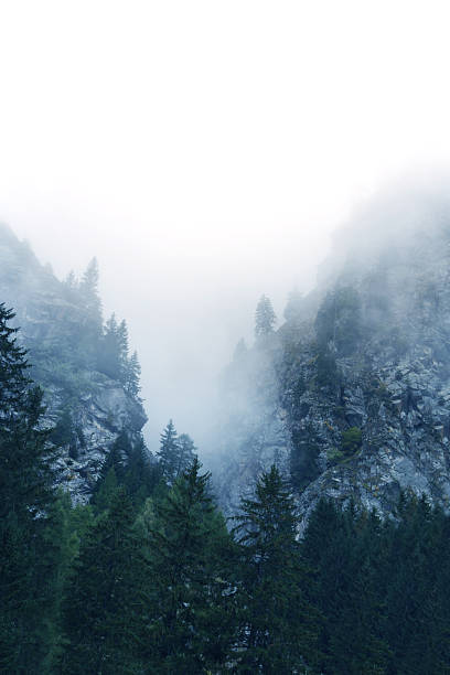istock Fog in the Alps, Switzerland 452468401