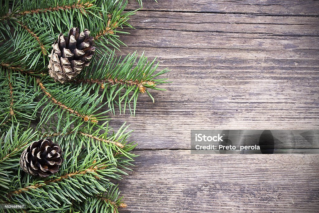 Christmas fir tree on a wooden background Antique Stock Photo