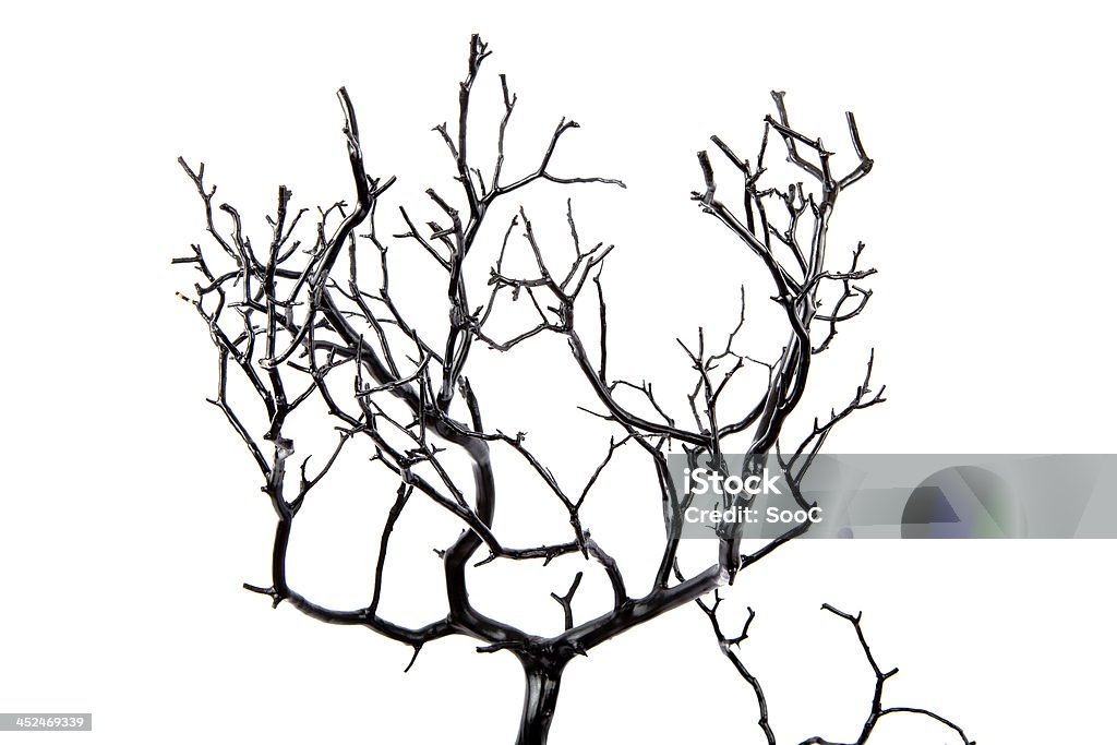 Black Tree 2 Black Tree with White Background Backgrounds Stock Photo