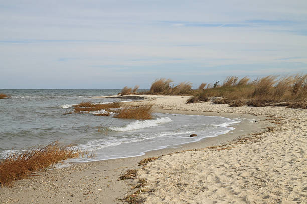 istock Brisk Fall Wind Ruffles the Chsaspeake Bay Shore 452471427