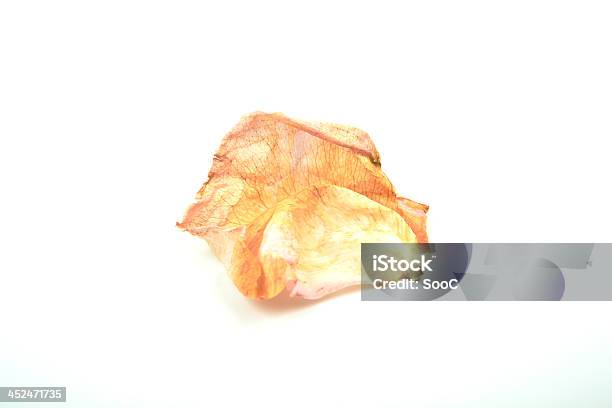 Old Orange Petal Stock Photo - Download Image Now - Backgrounds, Dead Plant, Horizontal