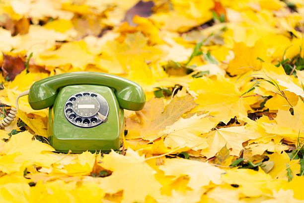 istock green vintage phone in yellow leaves 452478577