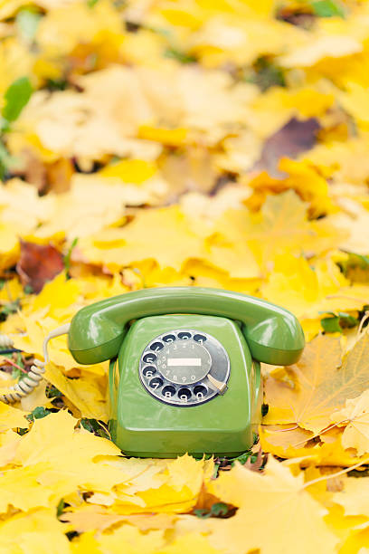 istock green vintage phone in yellow leaves 452479283