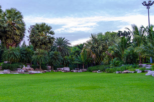 istock Beautiful garden in summer 452479339
