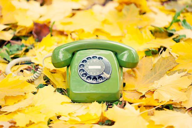 istock green vintage phone in yellow leaves 452493015