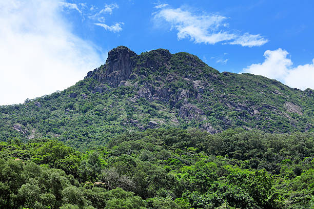 istock Lion Rock in Hong Kong 452497973