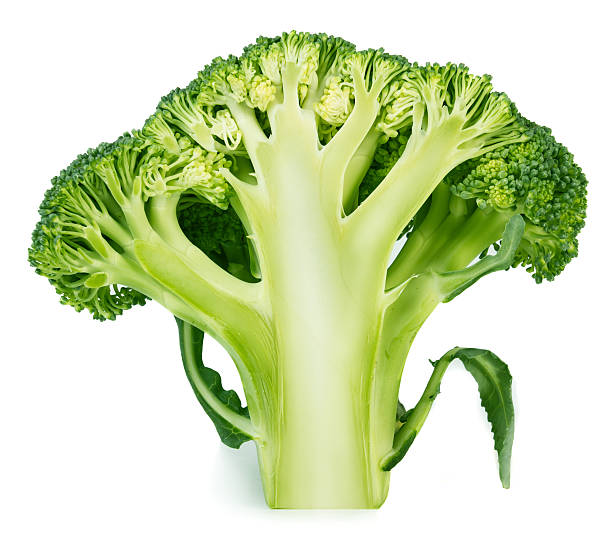 Broccoli stock photo