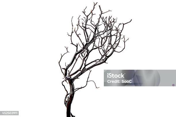 Black Tree Stock Photo - Download Image Now - Backgrounds, Black Color, Branch - Plant Part