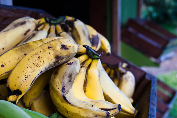 Crate of Ripe Bananas stock photo