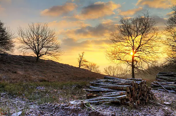 Photo of Winter sunrise logs