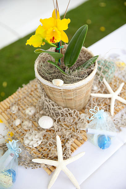 Banquet at the Beach