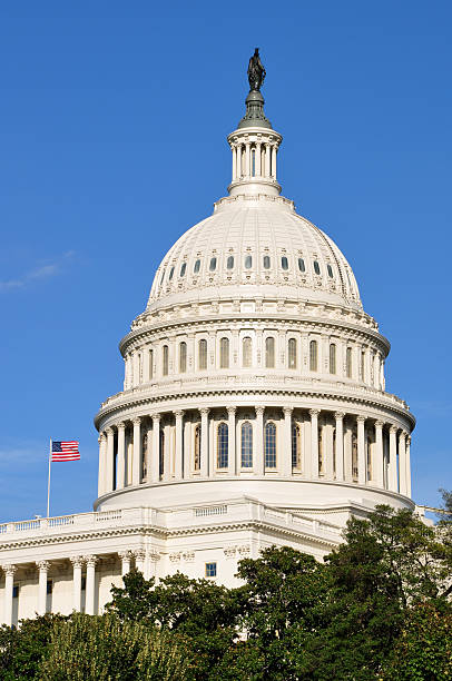 istock Dome of US Capitol Building 452509039