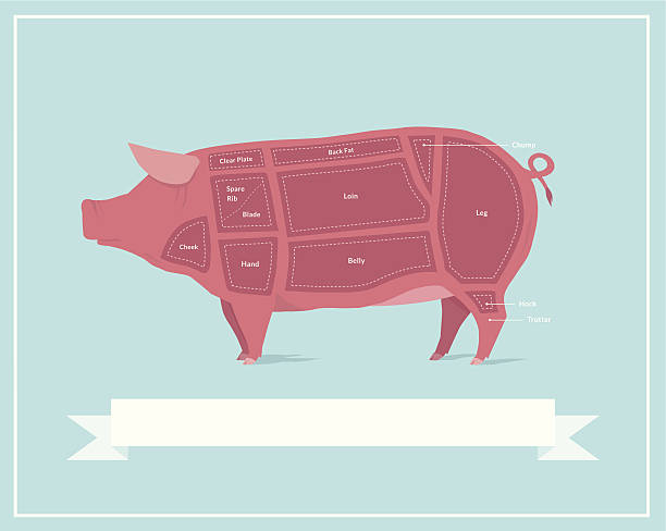 ilustraciones, imágenes clip art, dibujos animados e iconos de stock de cortes de carne de cerdo - pork chop illustrations