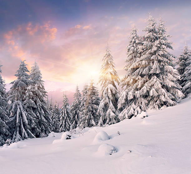 istock Dramatic winter sunrise in the mountains 452509641